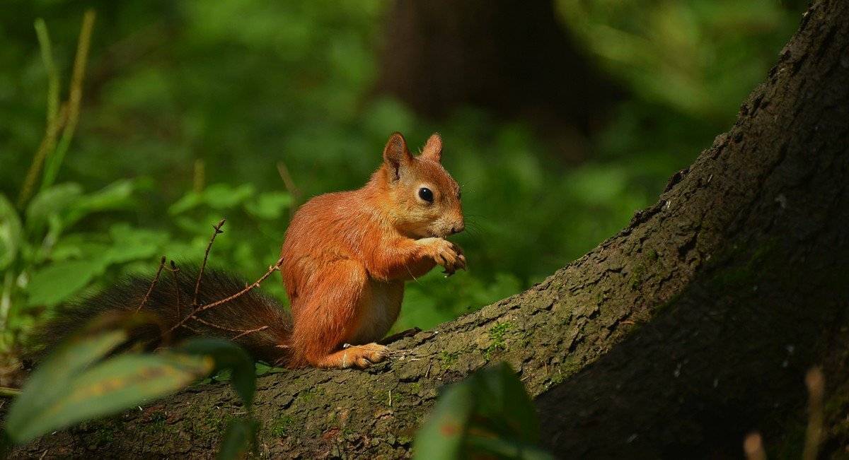 , Александр Юкарев