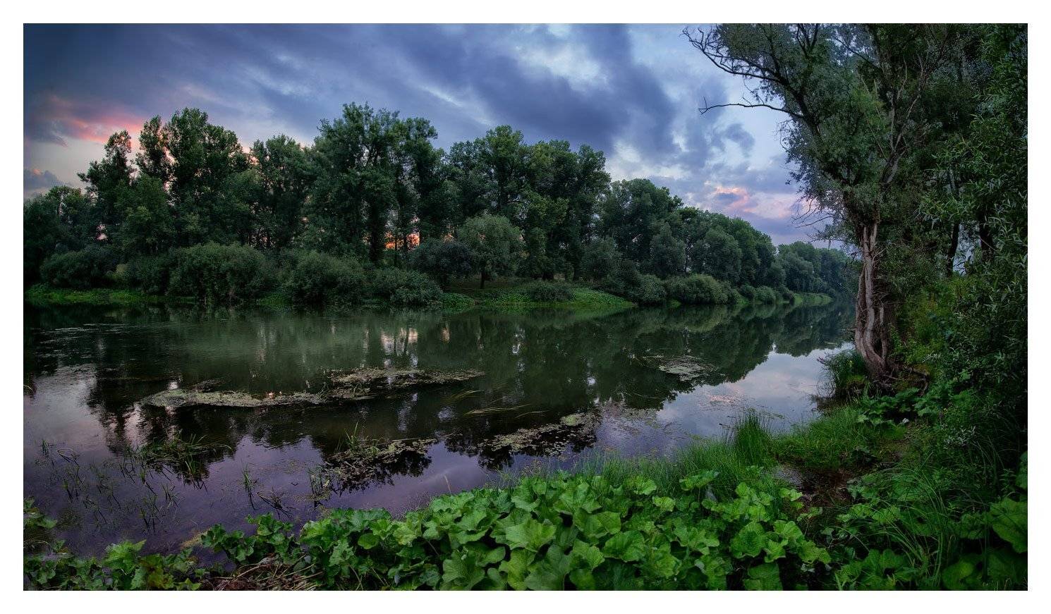 , Владимир Ляпин