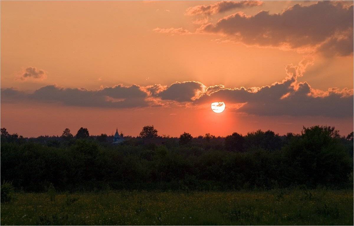 , Николай Шахманцир