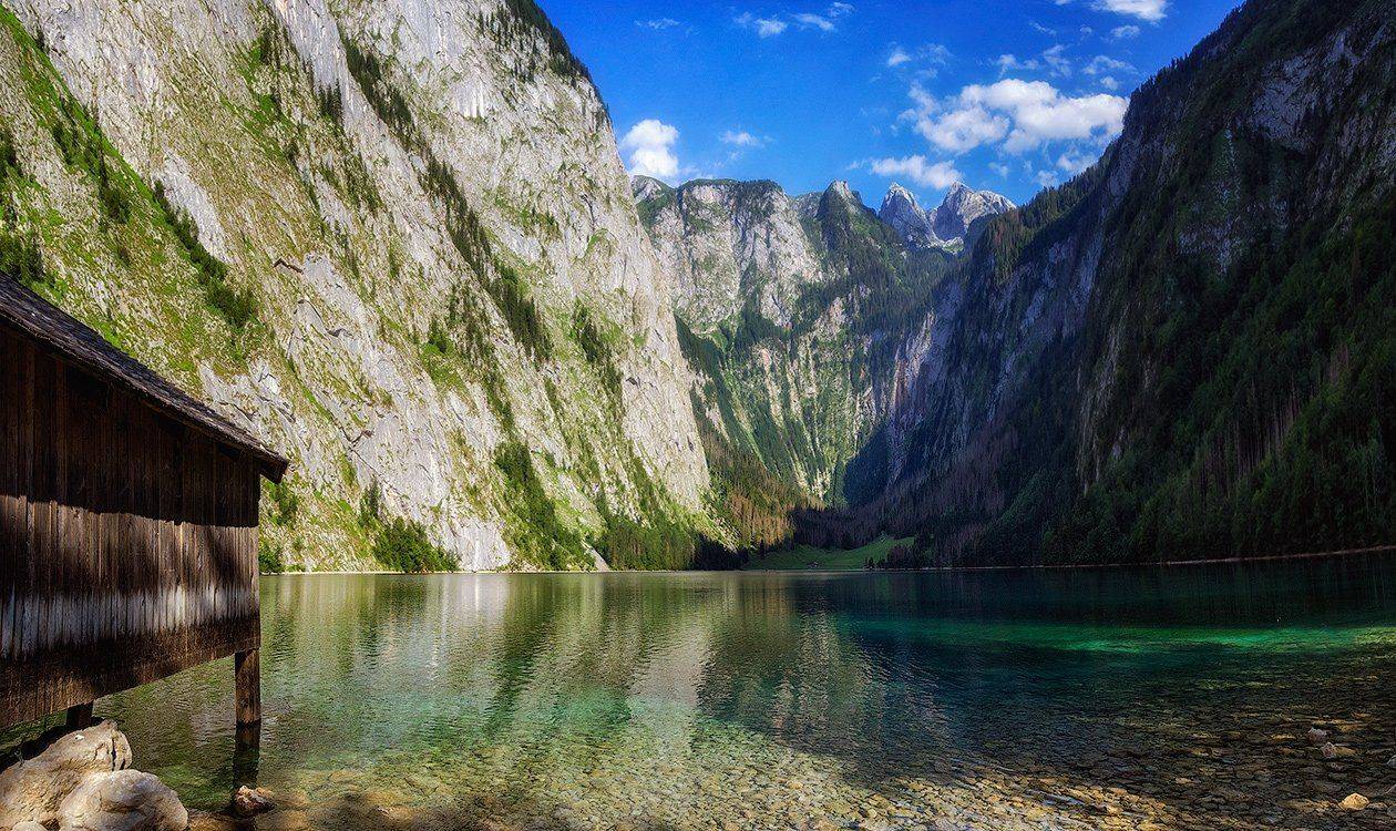 , Игорь Мелекесцев