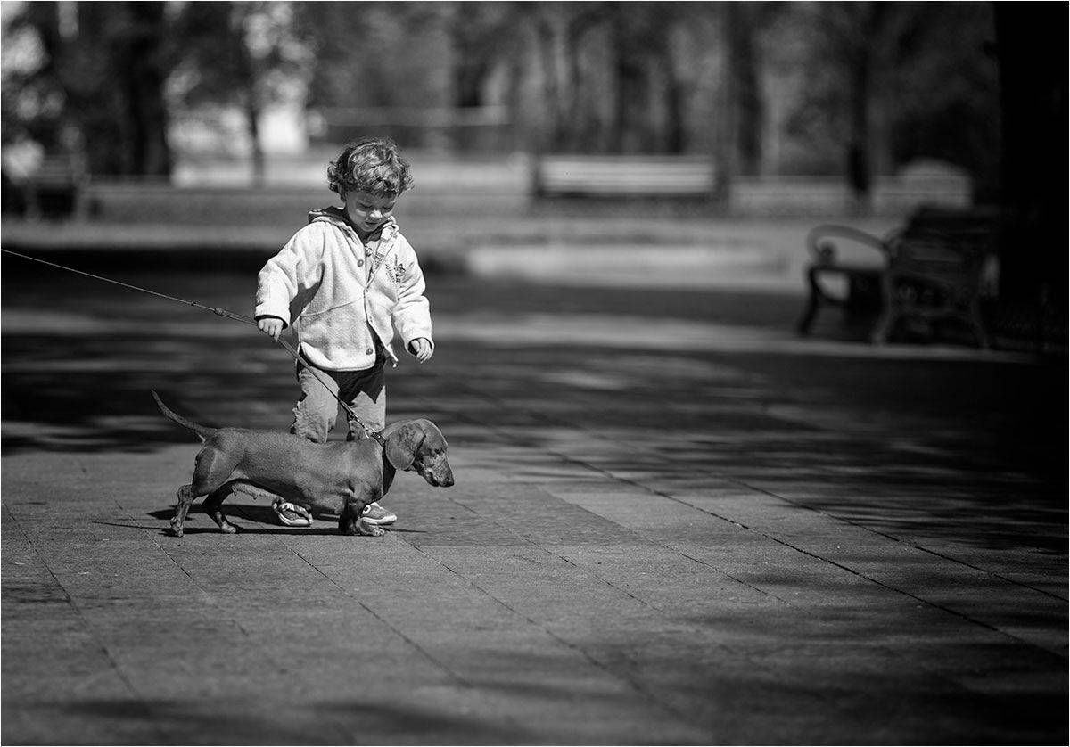 , Сергей Дымченко