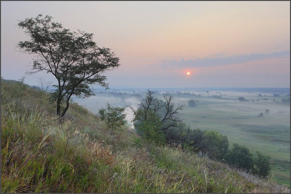 , Михаил (mgk)