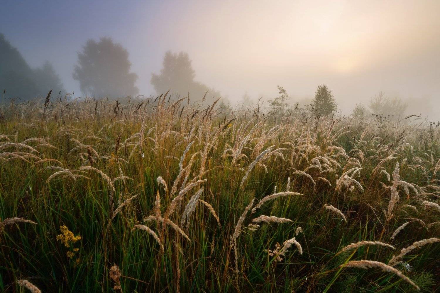 , Максим Евдокимов