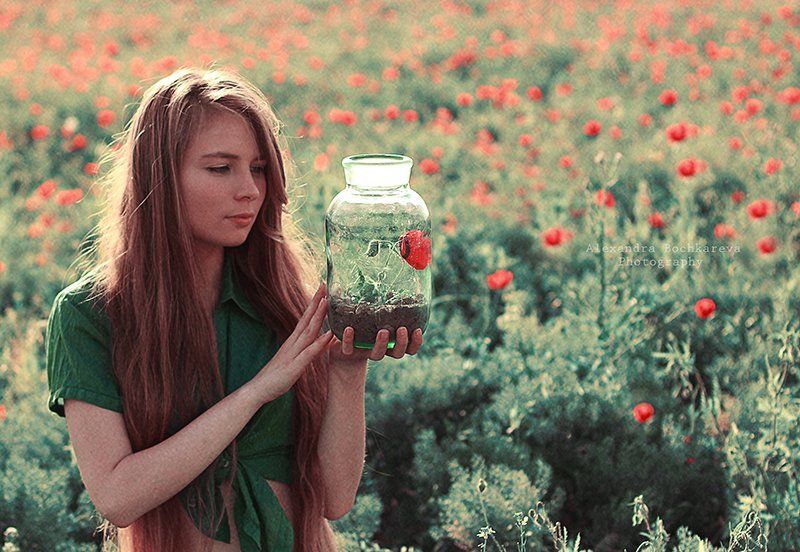 The Scarlet Flower фото превью