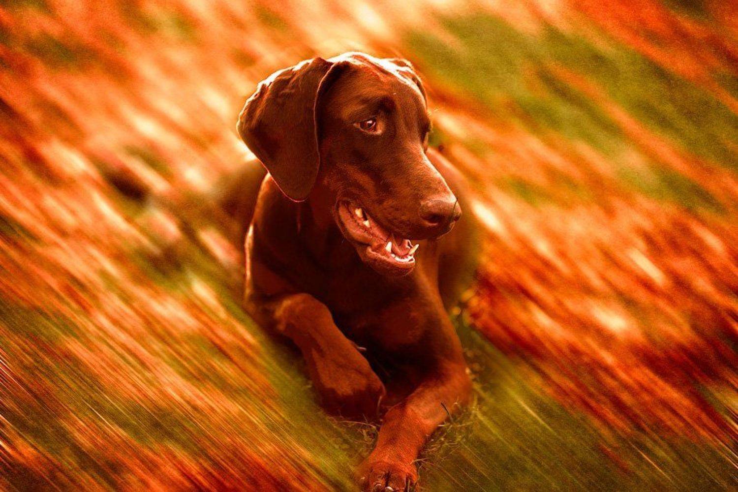 , Юлия Болдинова