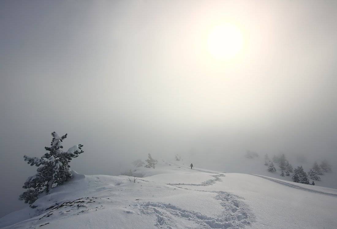 , Петриченко Валерий
