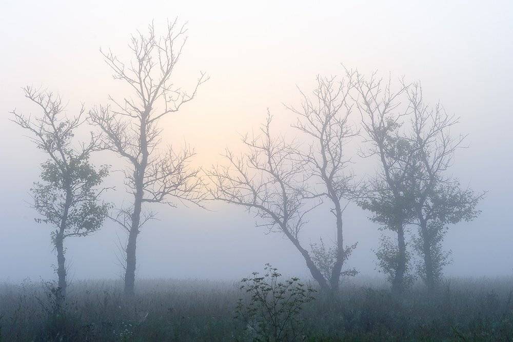 , Михаил Бритвин