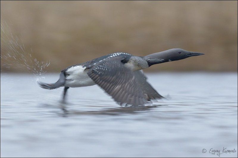 Поехали! фото превью