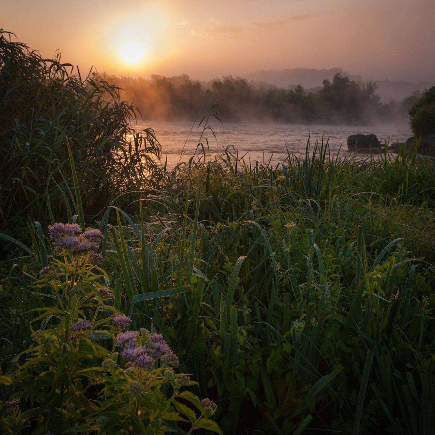 южный, буг, Сорокин Олег