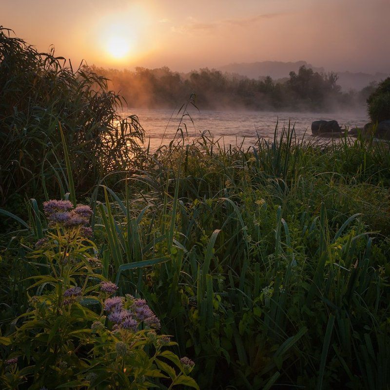 южный, буг Рассветный Буг фото превью