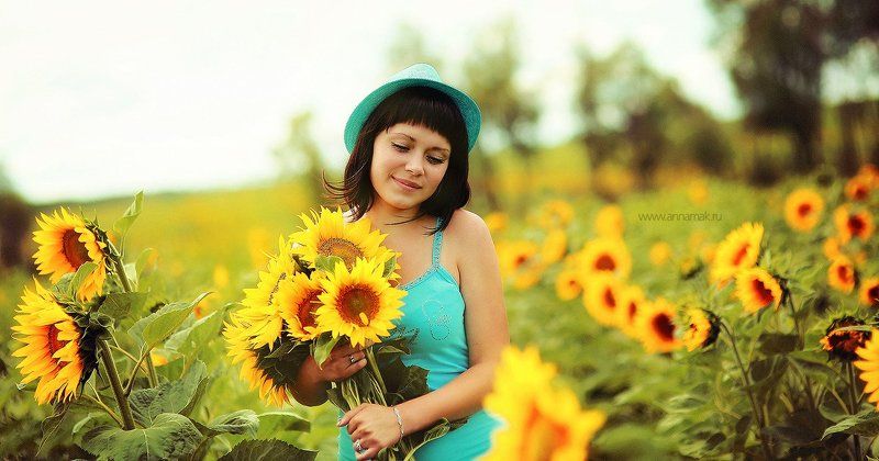 Подсолнухи фото превью