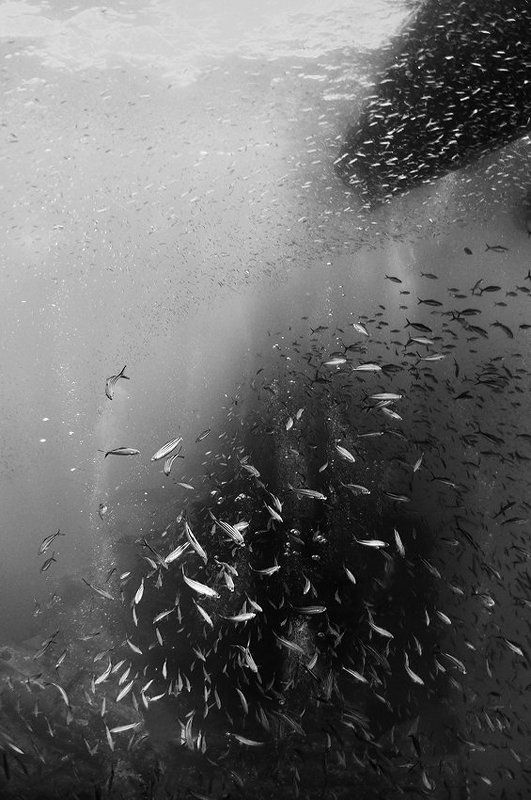 Призрак войны фото превью