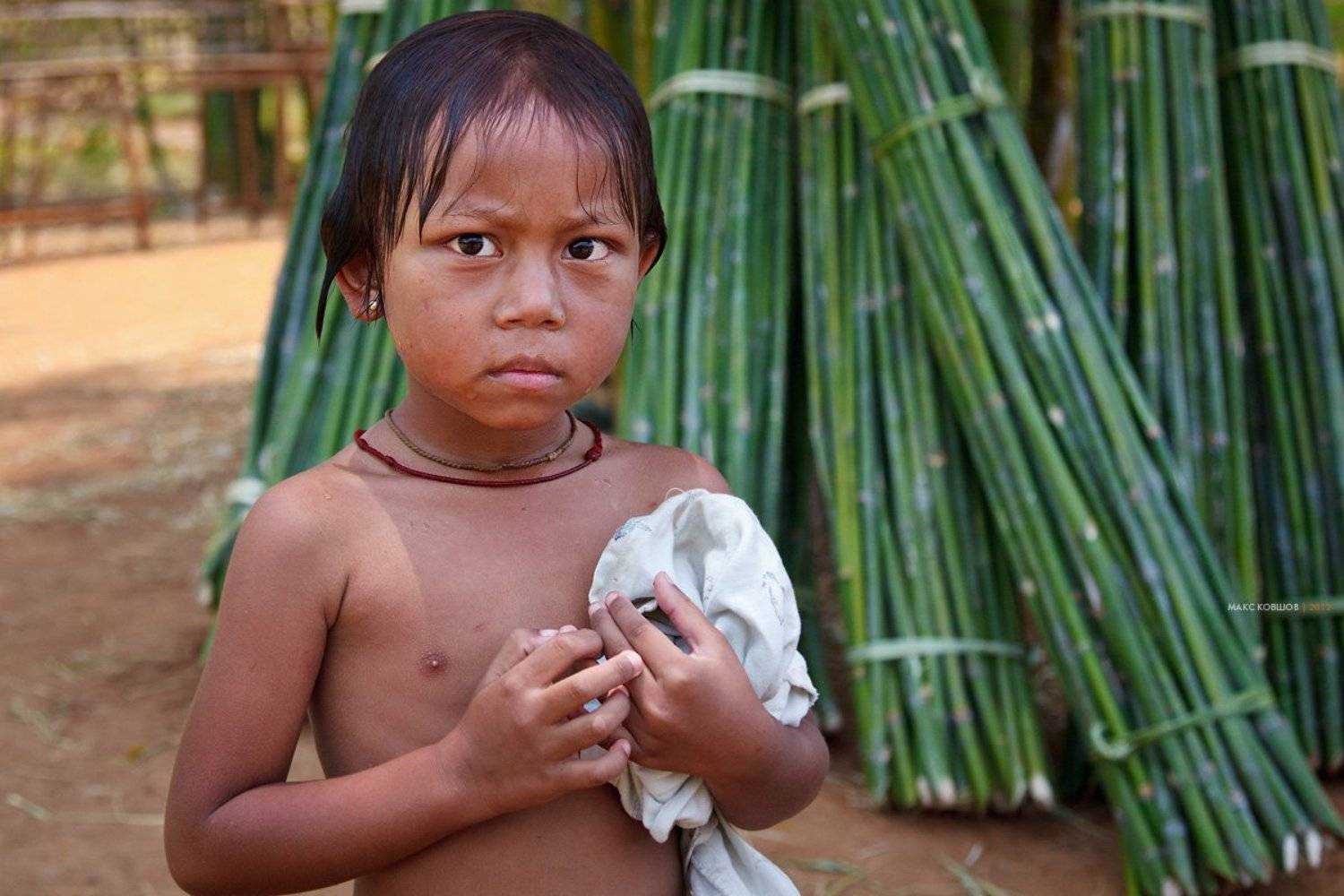 , Макс Ковшов