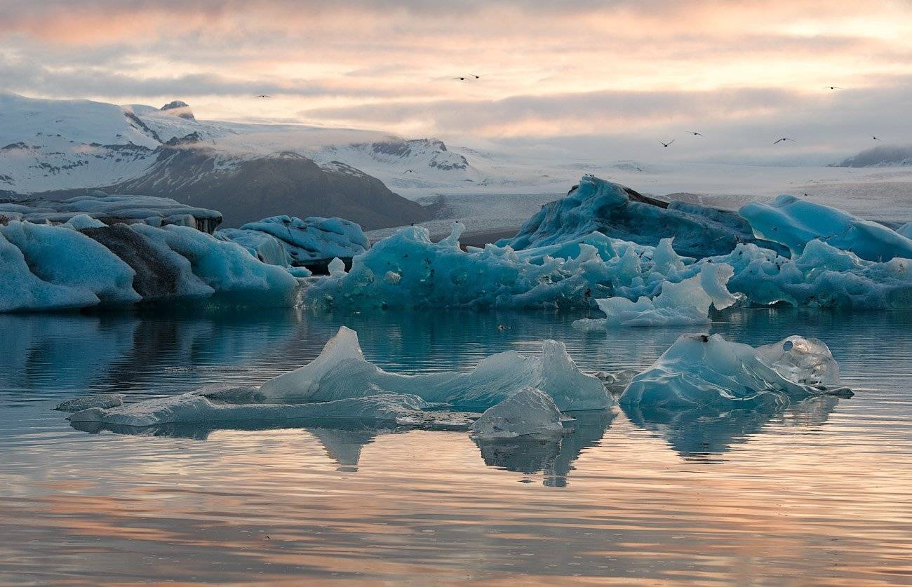 , Андрей Ведерников