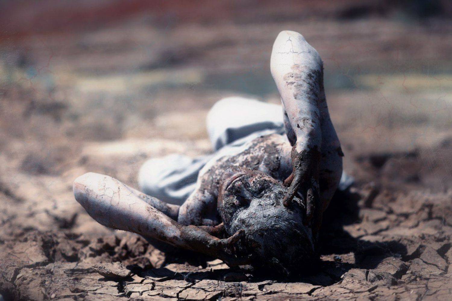 , Шихахмедова Марина