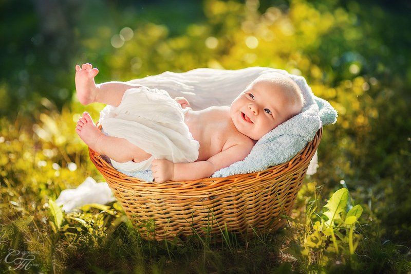 Солнечный зайчик фото превью