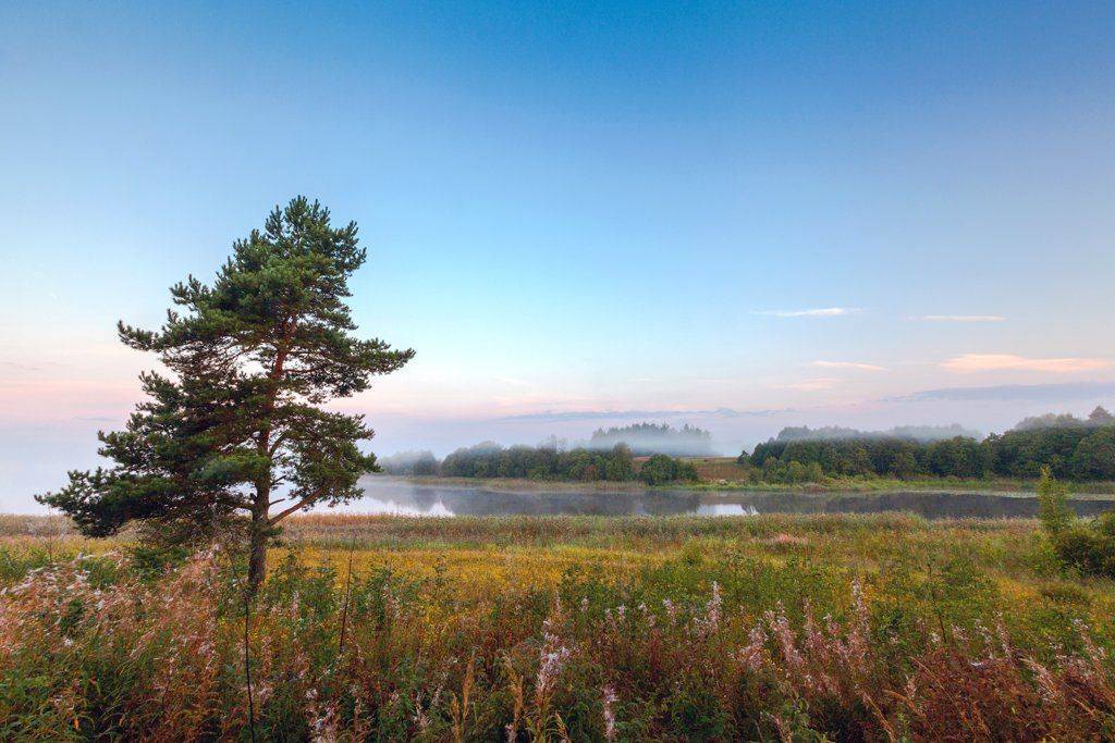 , Дара Пилюгина