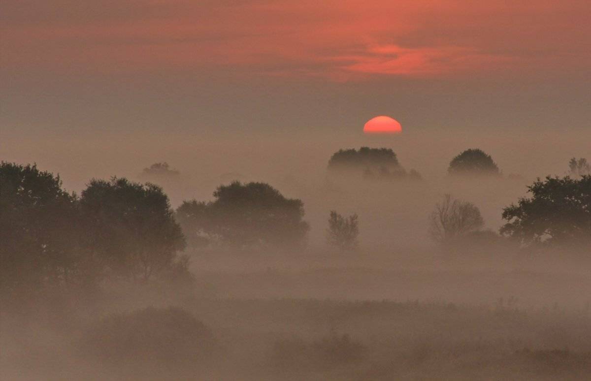 , Валерий Кондратов