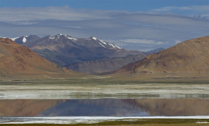 ….. фото превью