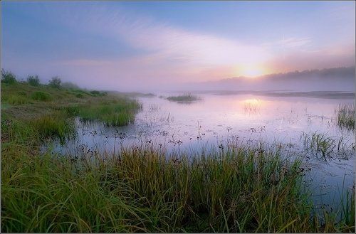 Утро на Ветлуге