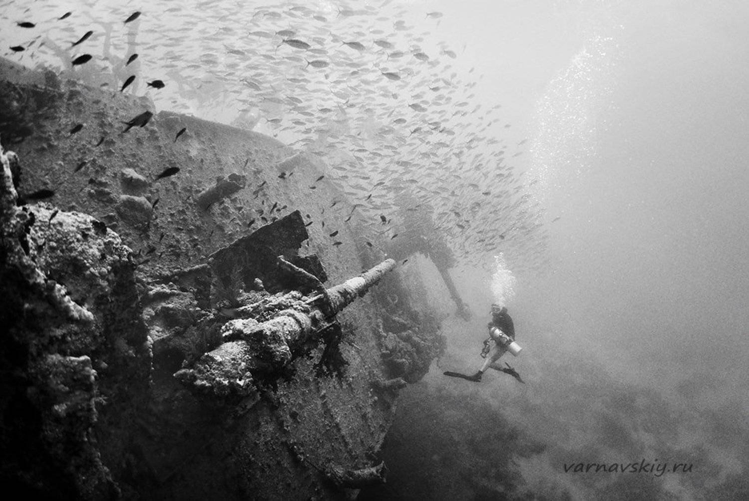 , Евгений Варнавский