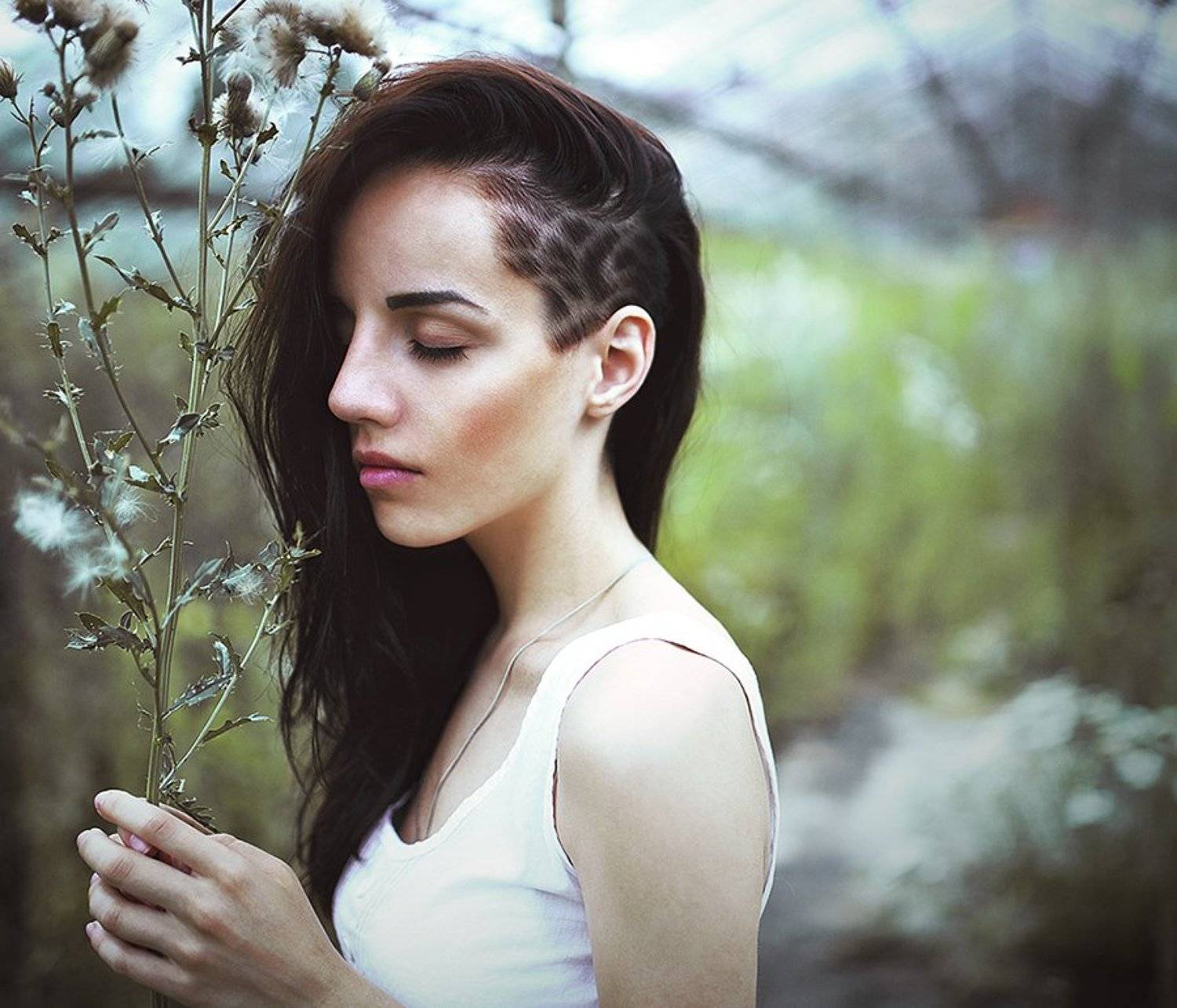 , Germanovich Vladimir