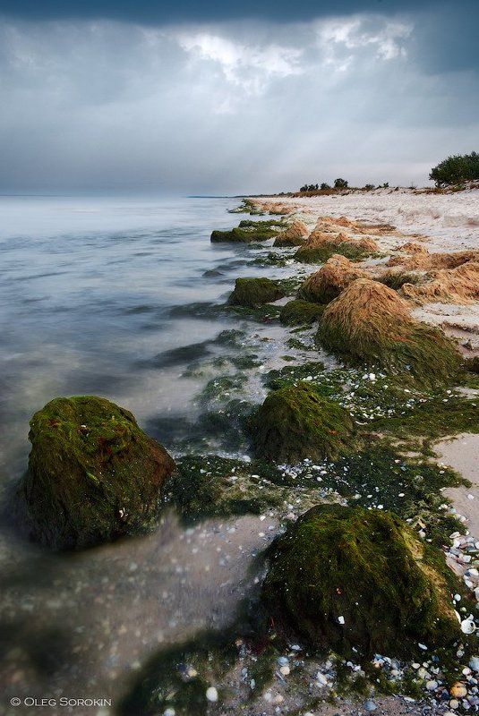 кинбурнская, коса Тина фото превью