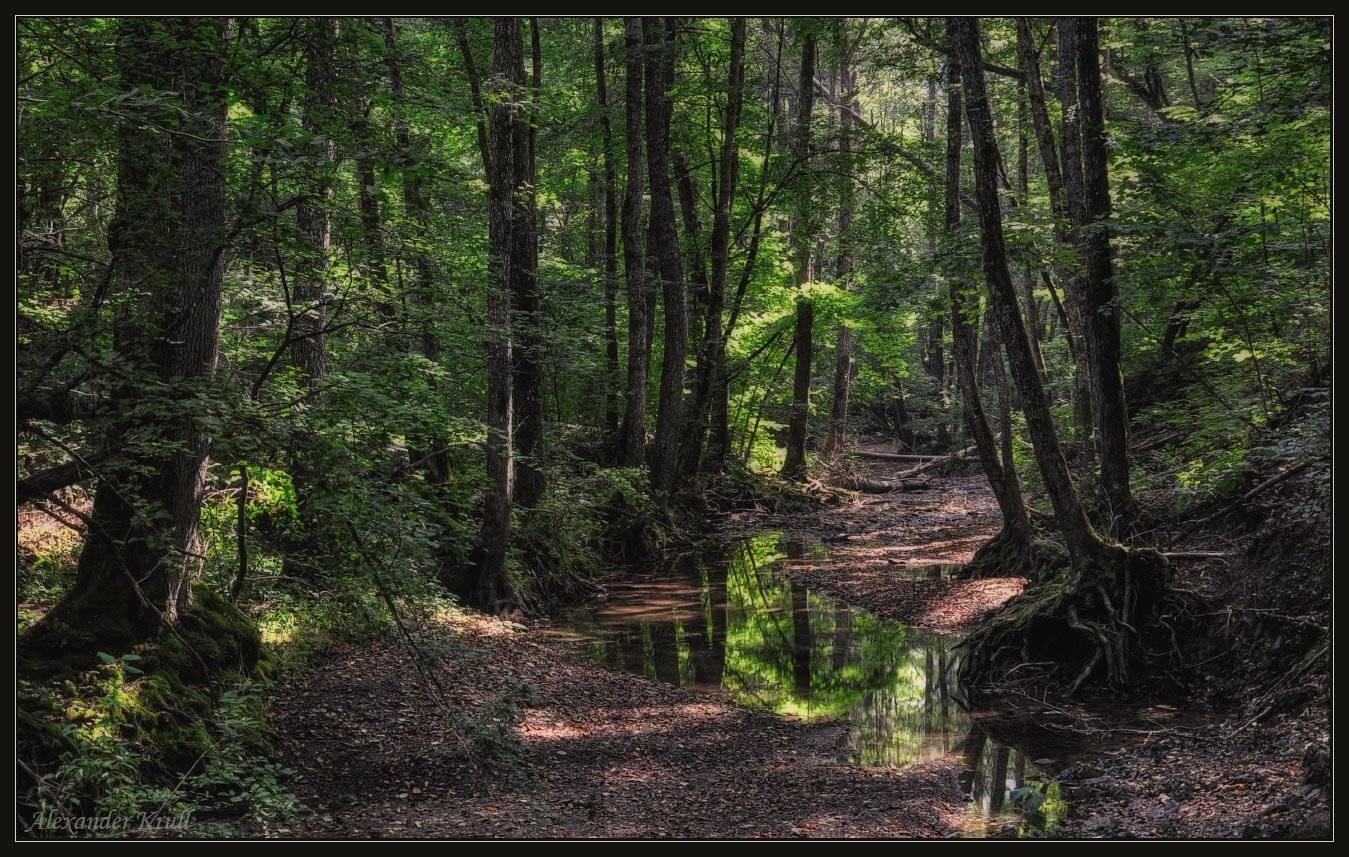 , Александр Круль