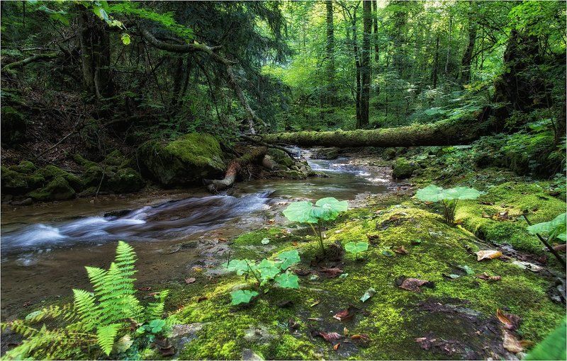 Скромная красота Мезмайки фото превью