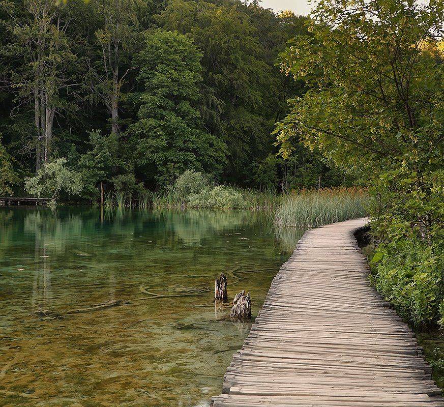 , Игорь Дубровский