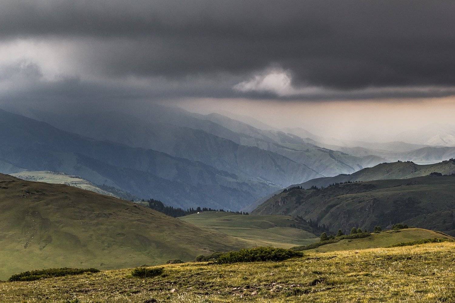 , Сергей Теректі