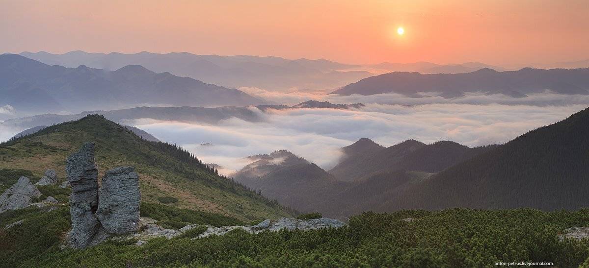 , Антон Петрусь