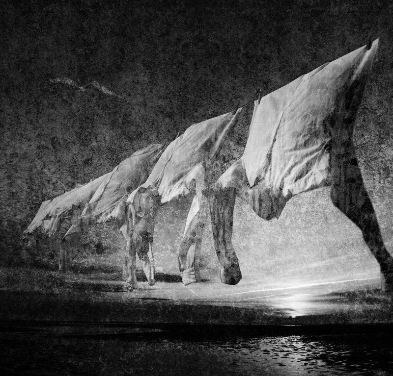 Fly Away фото превью