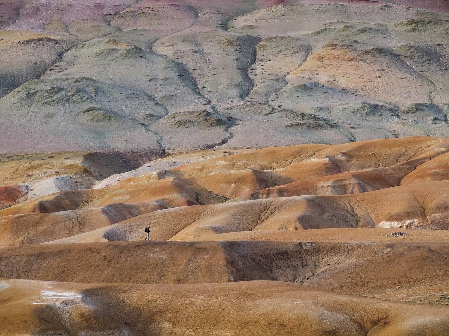 , Лещёнок Александр