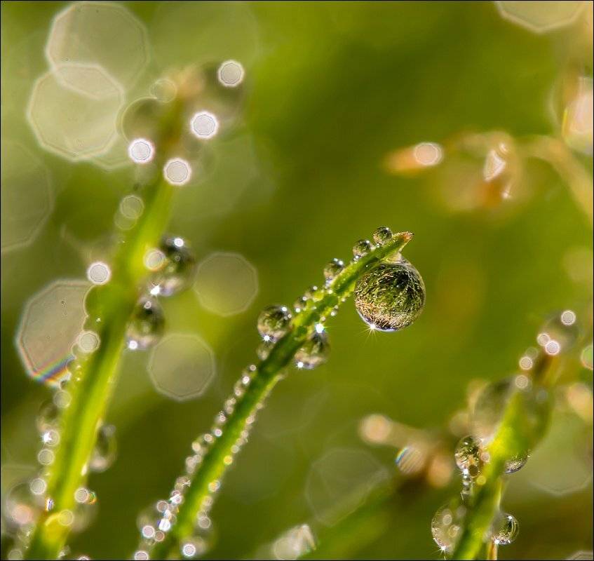 , Бурлов Андрей