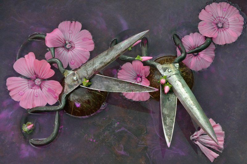 ***2 фото превью