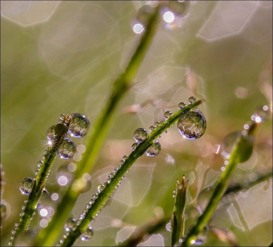 , Бурлов Андрей