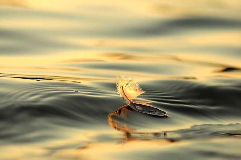 Cерфинг фото превью