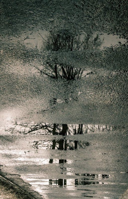 Триптих фото превью