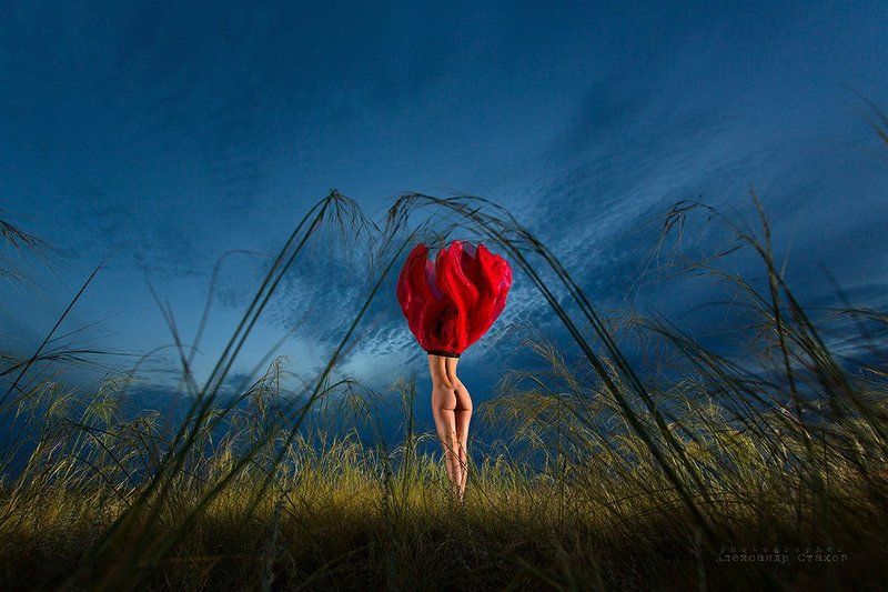 Мак-Наркотический (новый подвид цветов) фото превью