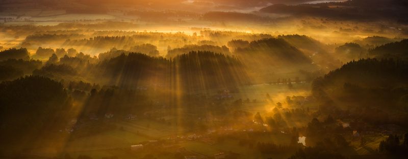 Gold Morning фото превью