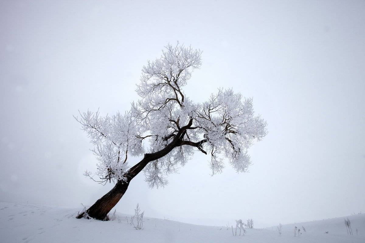 , Валерий Кондратов
