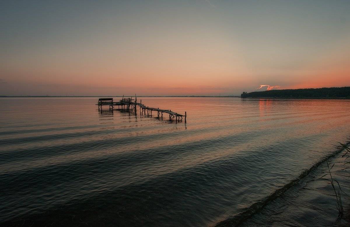 , Владимир Липецких