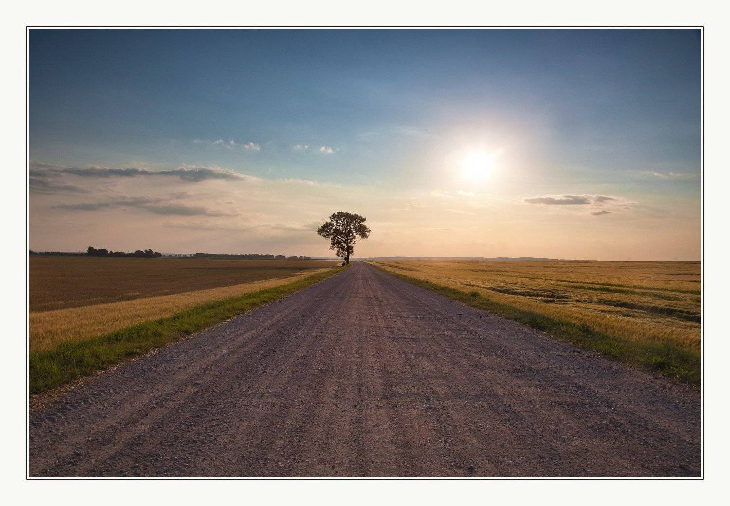 , Коломиец Алексей