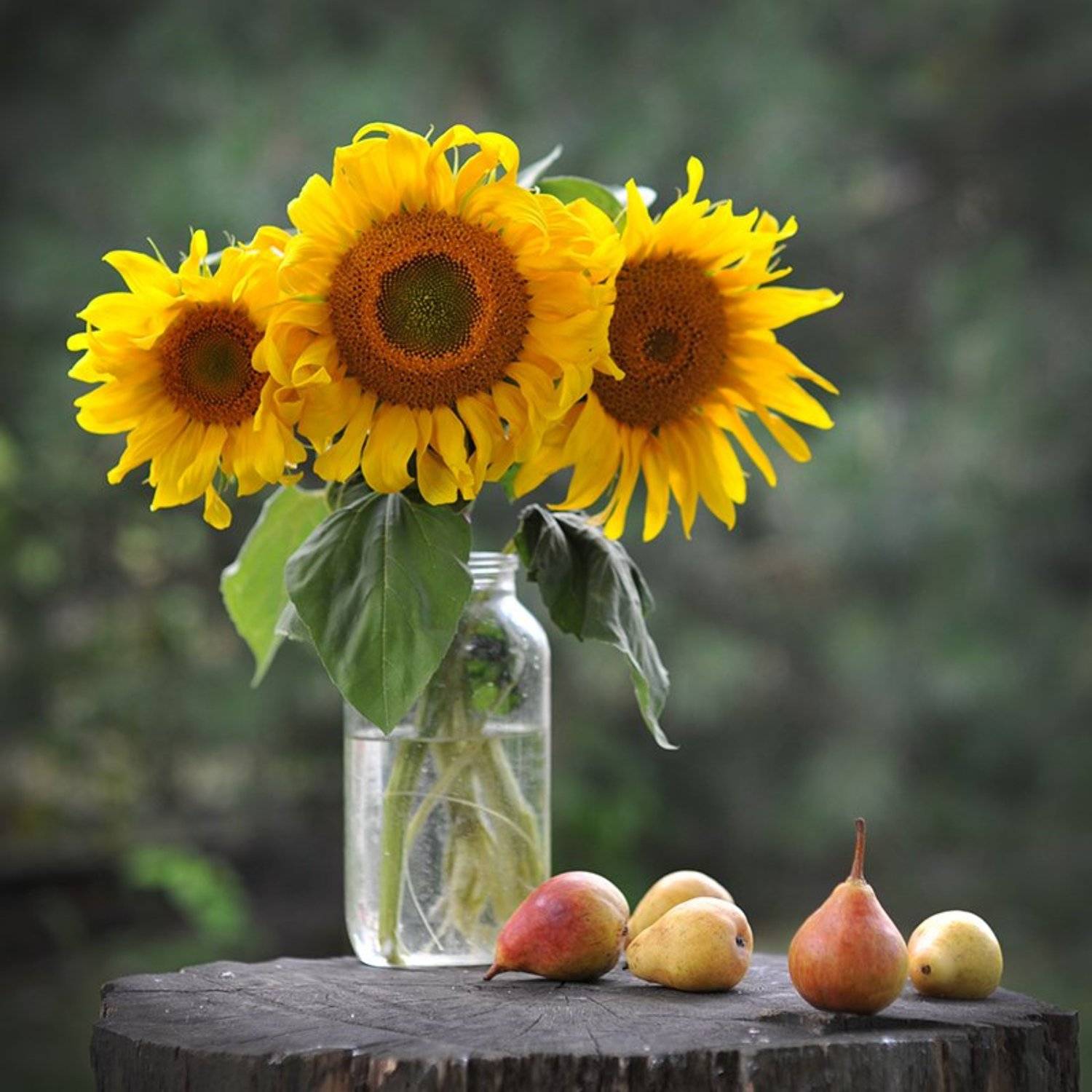 , Орест Сивак