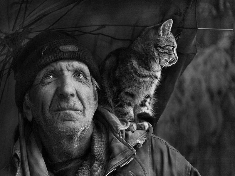 старик, кот, зонт Под одним зонтом. фото превью
