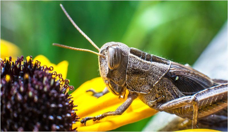 ... фото превью