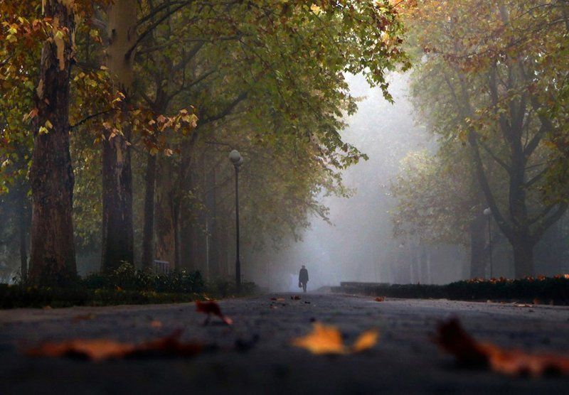 осень, туман, аллея, сквер На работу фото превью