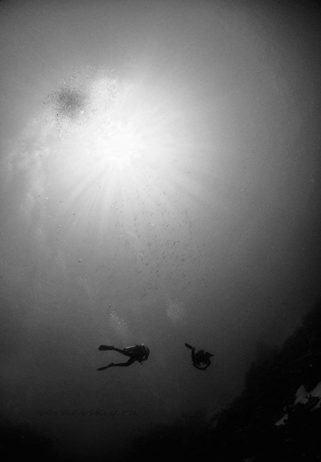 , Евгений Варнавский