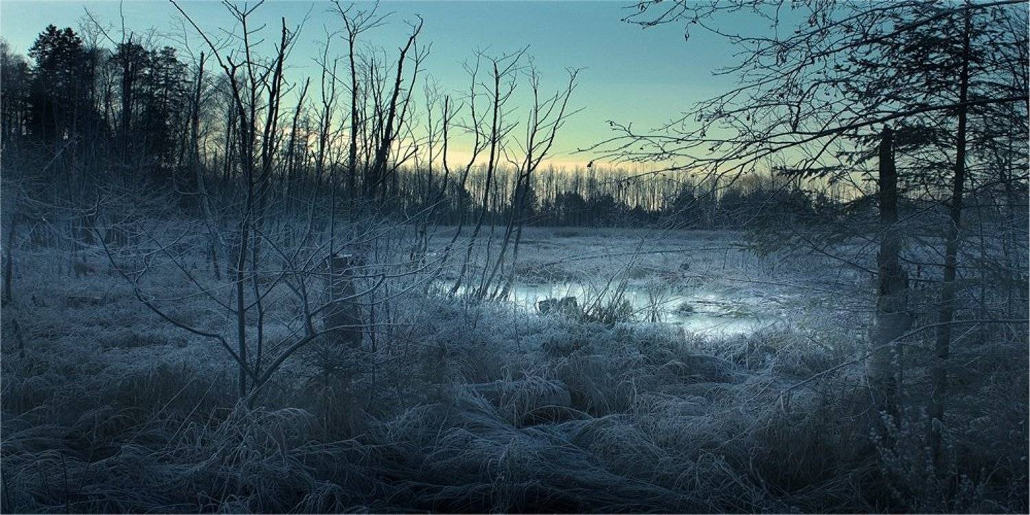 , Дмитрий Алексеев